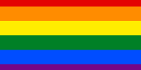 Regenboog-vlaggetje (1)